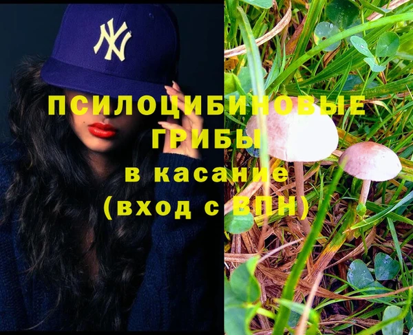 альфа пвп Алексеевка