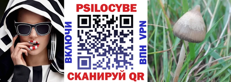 закладки  Киреевск  Псилоцибиновые грибы мухоморы 